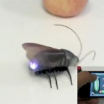 Cucarachas robóticas controladas desde el iPhone y el iPad