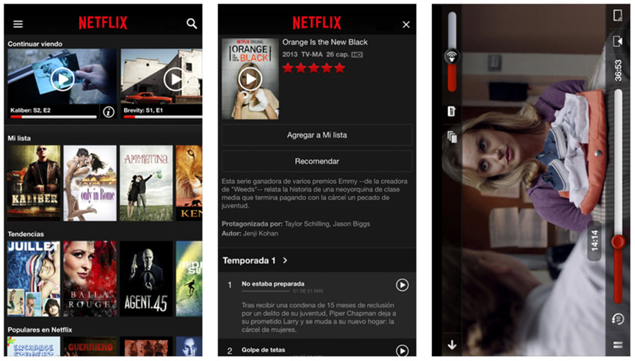 Netflix para iOS