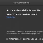 macOS Catalina Beta 10