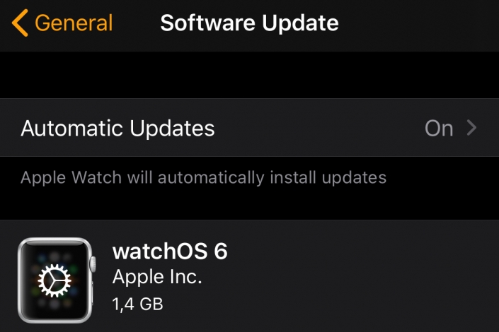 watchos 6 gm