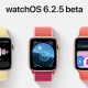 watchOS 6.2.5 beta